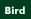 Birdwatcher SIG